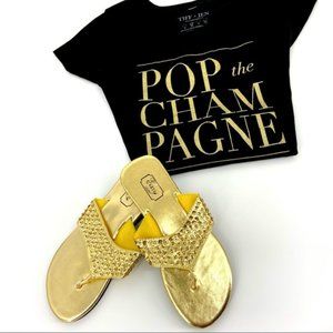 Sequin Wedge Flip Flop NWT 6-10